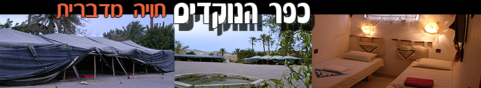 כפר הנוקדים