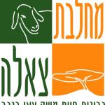 חגיגות המסיק במחלבת צאלה עם האמן דיוניסוס תאודורו – 6.12.14